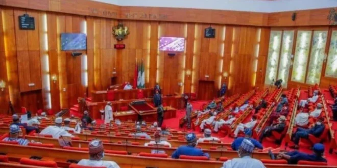 The Senate questioned the NWDC over the N943 million board allowance, governance gaps and delays in appointments