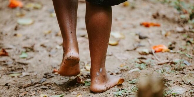 WHO’s new plan urges stronger action against fungal diseases