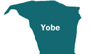 YSEIB shows support for Tinubu and APC in Yobe