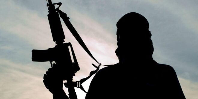 Armed men kidnap a Dangote cement factory in Ogun and drag the victim into the bush