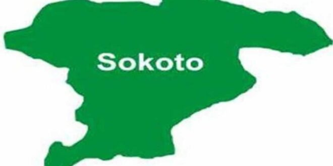 Bandits kill eight farmers and wound five others in the Sokoto attack