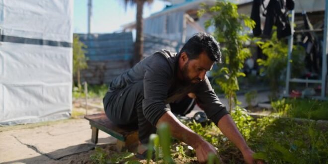 Gaza: Children remain at risk despite reduction in acute hunger