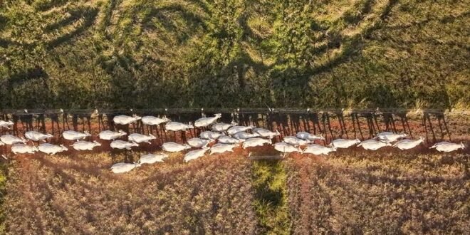 Land models are emerging as degradation threatens billions of livelihoods