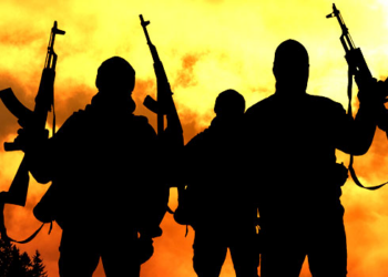 Many bodies recovered after Niger mosque attacks – President Borgu LG