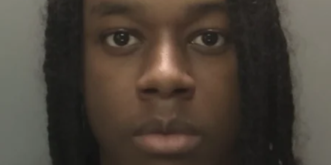 Student faces up to 10 years in prison for stabbing his friend to death over a fake Rolex watch