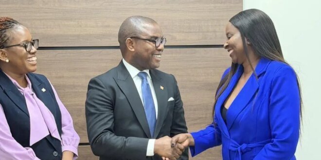 Access Bank’s Nwogu urges strategic media partnerships to attract global investment to Zambia