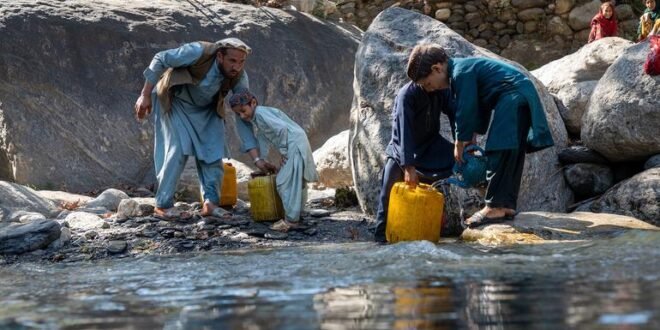 Afghans’ suffering ‘from bad to worse’, but the world is starting to look away: Türk
