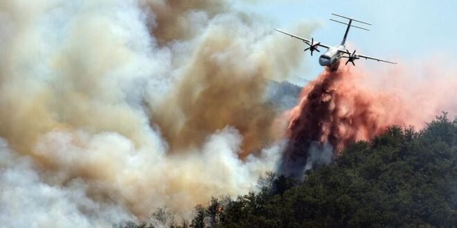 As forest fires spread north, UN agencies are racing to help Europe adapt