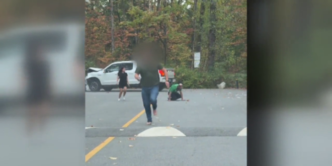 BC driver helps save man from knife-wielding suspect in Surrey – BC park