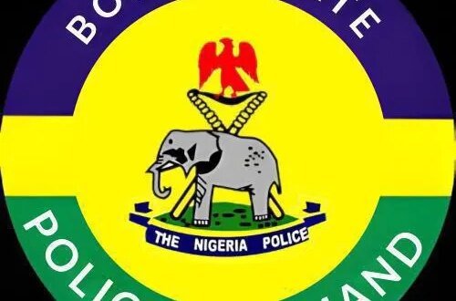 Borno police clarify arrest of five men wearing ‘Tinubu must go’ t-shirts