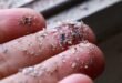 Children and plastics industry workers face greater risks of exposure to microplastics, an expert warns