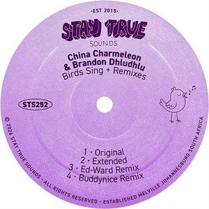 China Charmeleon – Birds Sing (Extended Mix) ft. Brandon Dhludhlu