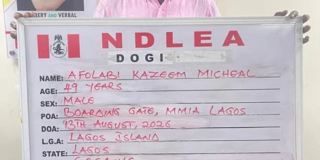 Court orders detention of KC Luxury, two others over alleged shipment of cocaine worth ₦39 billion