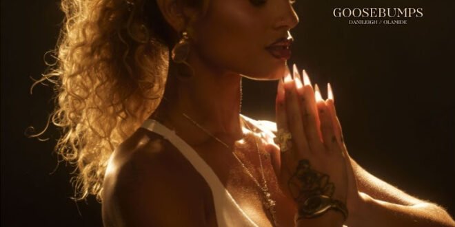 DaniLeigh – Goosebumps ft. Olamide
