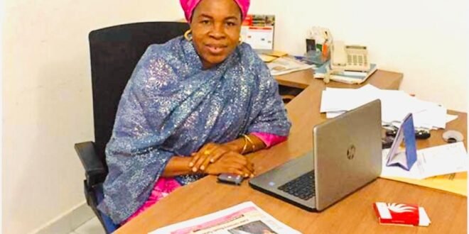Death of Niger miners: Blueprint Editorial Board Chairman Okino joins FG investigation team