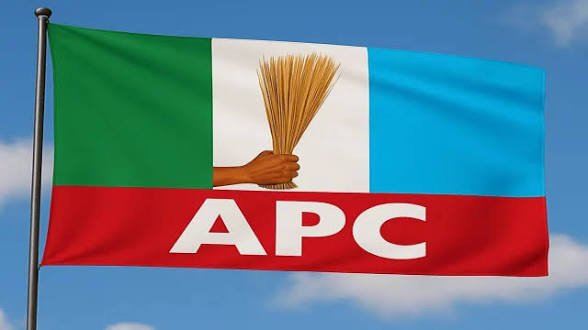 Farewell to elections on Saturday: Bauchi APC secures a seat