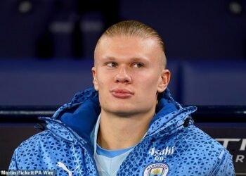 Haaland surpasses Zlatan and sets the record for the highest score