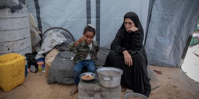 In Gaza, female-headed households face ‘impossible choices’ to survive