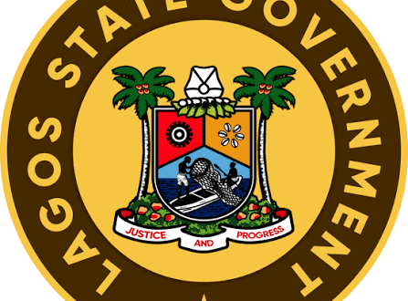 Lagos government calls for grassroots action to reduce maternal deaths