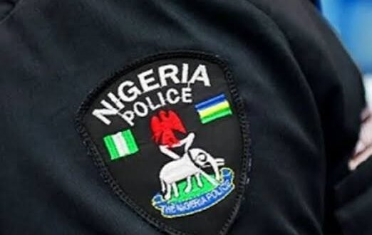 Lagos police deny tear gas attack on pensioners, say viral image of protest is generated by artificial intelligence