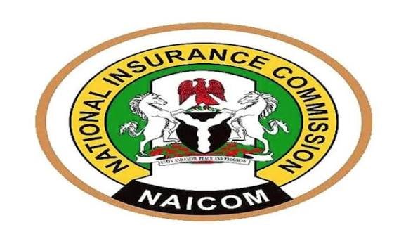 NICON, Nigeria Re and insurance recapitalization