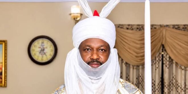 Northern senators rejoice with the new emir of Gumel