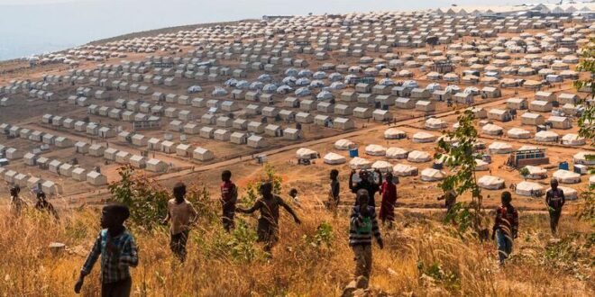 Security Council LIVE: Increasing wave of forced displacement