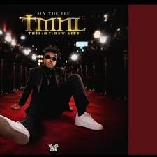 Sia_TheBee – Wai Nyaka Ft. Pile BigBaller_Ceo & Dimphowadiwave, John Mac & Papepa
