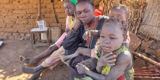 Sudan: Airstrikes destroy food aid to families in South Kordofan