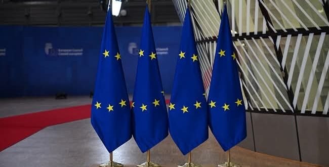 The shocking far-right wave in Germany shakes the political foundations of Europe