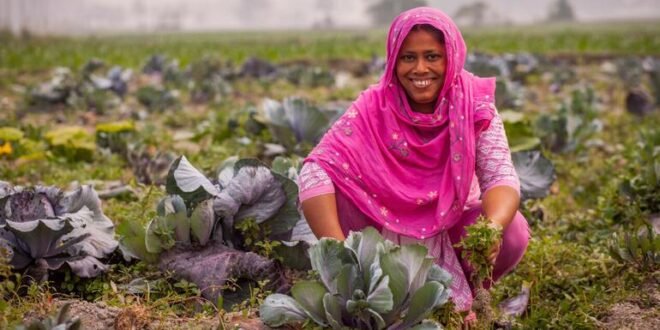 Why climate action now depends on speed, funding and cooperation