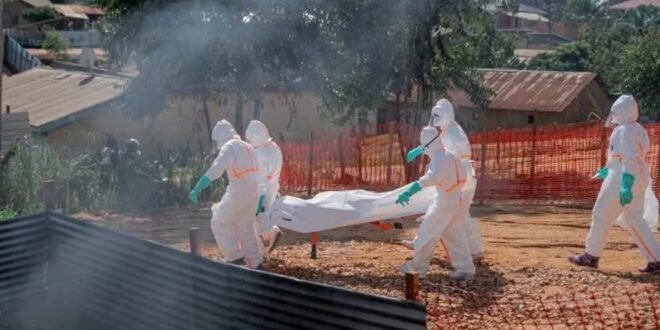 Breaking news: FG confirms Ebola case in FCT, identifies 44 close contacts