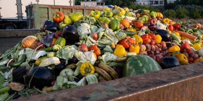 Clean your plates – to reduce food loss and waste