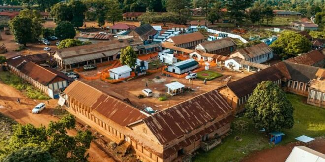 Congo: WHO urges continued efforts as Ebola cases top 10,000