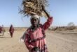 Darfur: Health care needs exceed resources as Security Council expands sanctions against Sudan