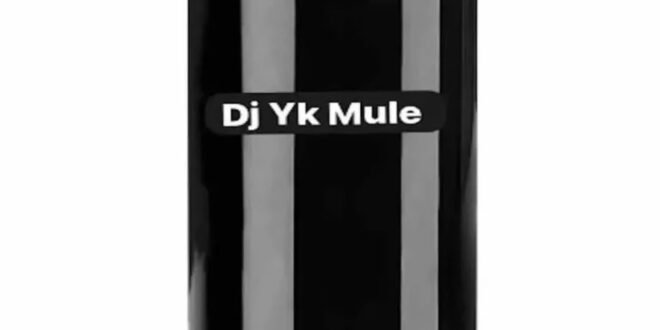 Download DJ YK Mule – Blacks Energy