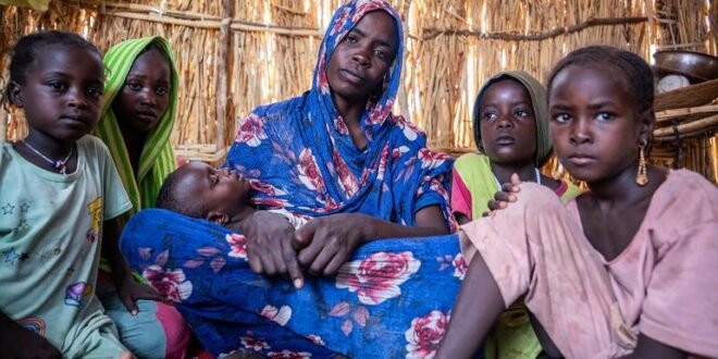 ‘Efficiency has limits’: UNHCR chief warns refugee protection is becoming weaker due to cuts