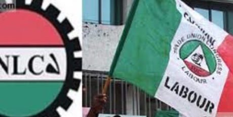 FCT workers declare indefinite strike, close schools, hospitals, offices – THIS UPDATE