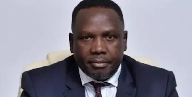 ‘Filled with content creators’, Bwala reacts to NDC campaign council list