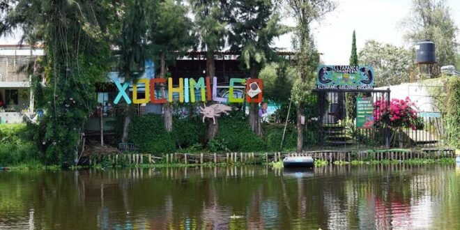 ‘He felt heard’: How a film brings the UN report on Xochimilco to life