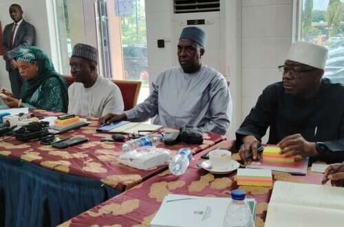 Miners’ deaths: FG investigation team awaits forensic and pathological reports, requests 2-week extension