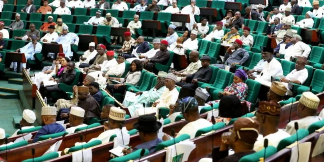 National Assembly orders NAF aircraft audit, calls for investigation into maintenance funding after Ondo crash