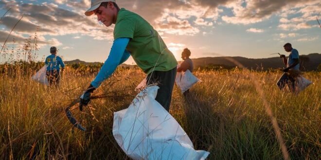 Nature is making a comeback – now restoration funding must be increased fourfold
