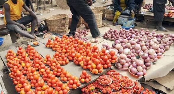 Onion prices reach ₦280,000 per bag as tomato costs rise in Enugu markets