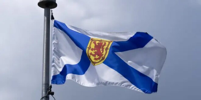 Police watchdog will investigate after suspected hit-and-run in Halifax – Halifax