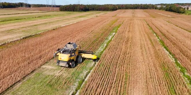 Quebec farmers say proposed high-speed rail threatens their land and livelihoods – Montreal