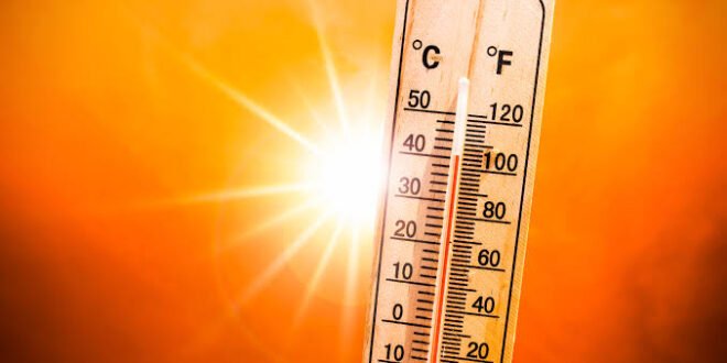 Reports say heatwave could kill 31,400 people in Nigeria, advising government on preventive measures