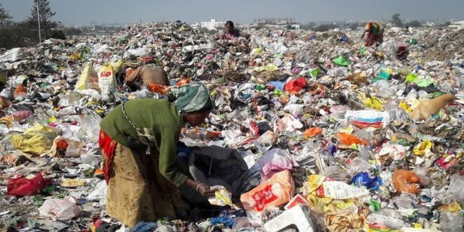 Rotting food waste emits 5 times more greenhouse gases than airplanes