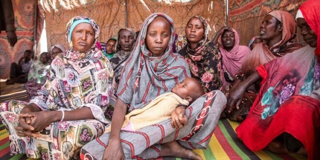 Security Council LIVE: Women and girls face greater dangers in war