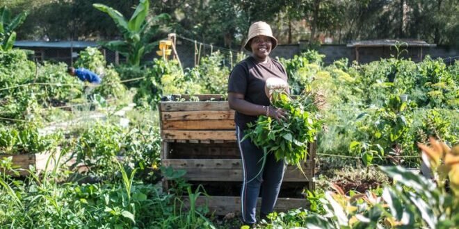 Soil mapping aims to increase agricultural production in Kenya